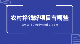 农村挣钱好项目有哪些？分享农村致富创业好项目（收鸡毛）